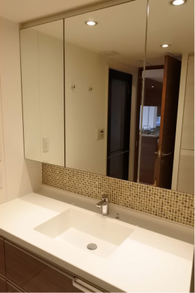 パークサイド・ウイングス　洗面所